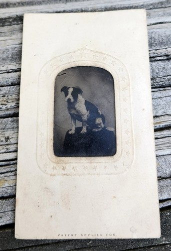 Antica foto vittoriana