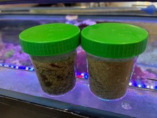 NEW! starter KIT  SABBIA viva LIFE SAND + GRACILARIA red  acquario reef marino