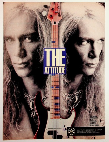 Chitarra basso billy sheehan - chitarra,
