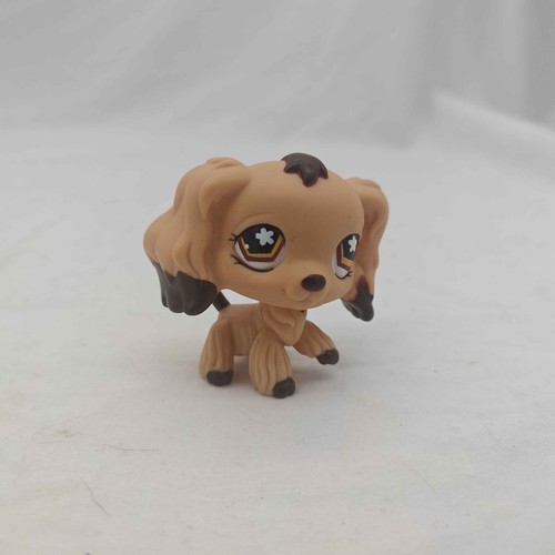 Raro autentico littlest pet - raro,