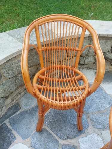Sedia con braccioli legno