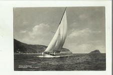 139263 SPOTORNO VELA IN CORSA BARCA A VELA  YACHT