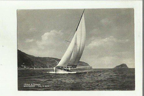 139263 spotorno vela corsa - spotorno,