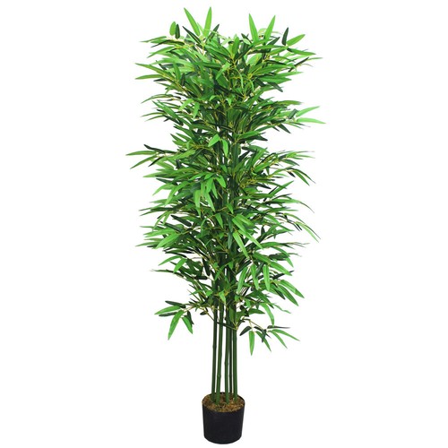 Pianta finta bambù - pianta,