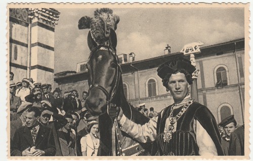 Siena palio cavallo e - -, il