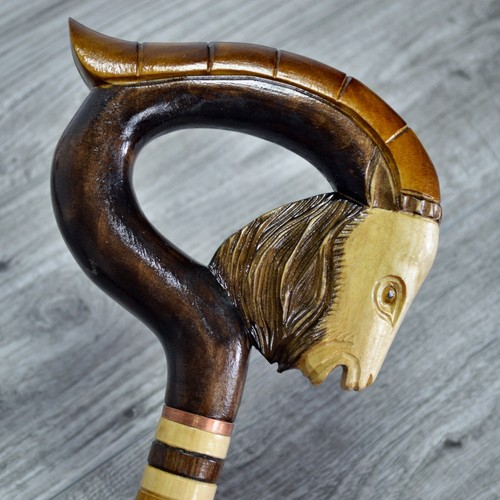 Bastone passeggio canna - da,