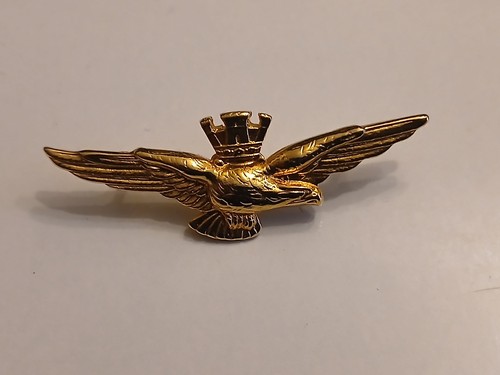 Distintivo pilota aviazine - distintivo,