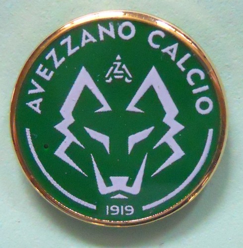 Distintivo spilla pin - distintivo,