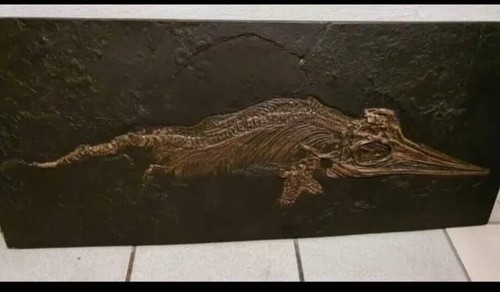 Replica ittiosauro fossile - replica,