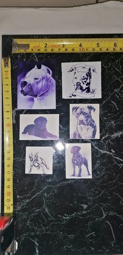 Lotto adesivi stickers - lotto, 6