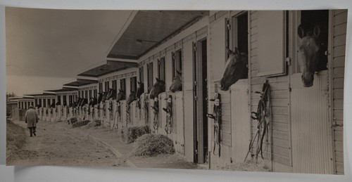 Foto analogica francia - foto,