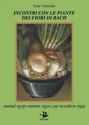 Incontri con piante dei - piante,