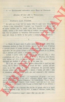 Terracciano escursione - a.,