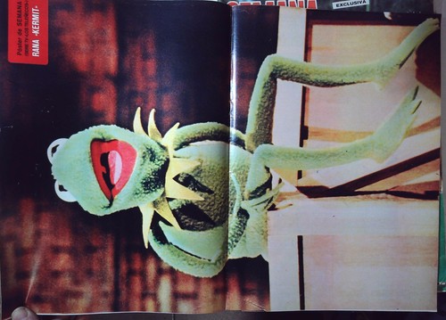 Ritaglio poster rana - ritaglio, kermit