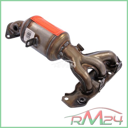 Catalizzatore collettore - 1x,