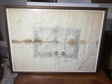 Diploma attestato cedola Scienze Naturali 1859 Regno delle Due Sicilie Napoli