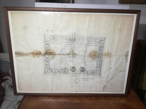 Diploma attestato cedola