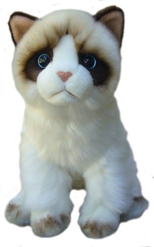 Ragdoll gatto orsacchiotto - 12",
