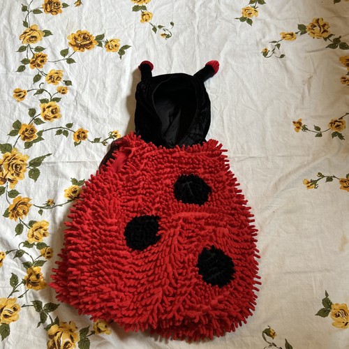 Costume halloween coccinella - halloween,