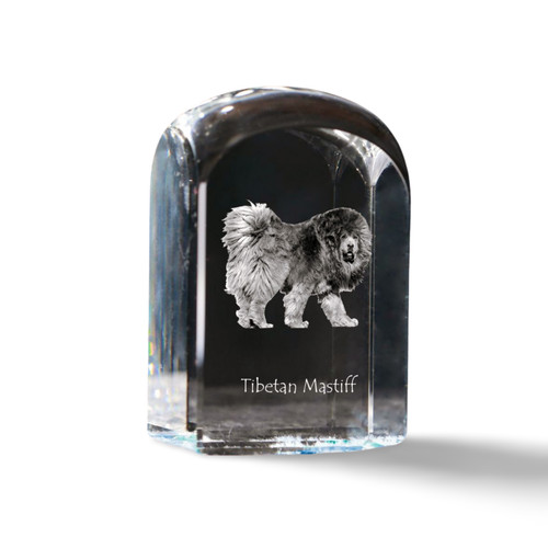 Mastino tibetano cristallo