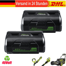 2x Batteria 36V per Ryobi