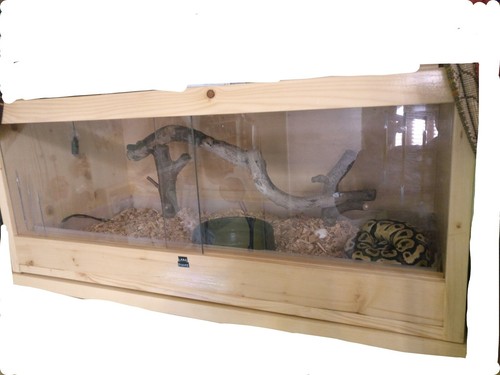 Teca terrario legno - terrario,