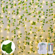 Catena Luminosa Edera 10M 100