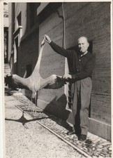 B1 -  Foto Photo Fotografia