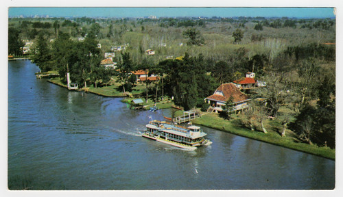 Tigre vista fluviale con - vista,