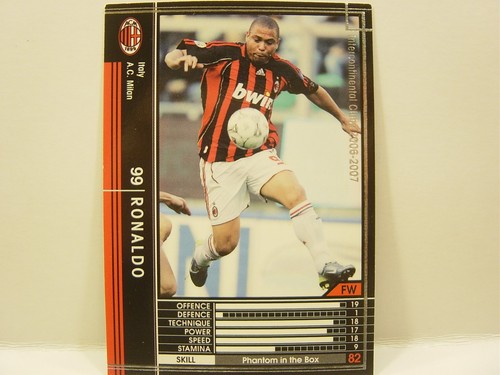 Panini wccf 2006 - panini,
