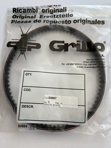Cinghia trasmissione grillo - cinghia,