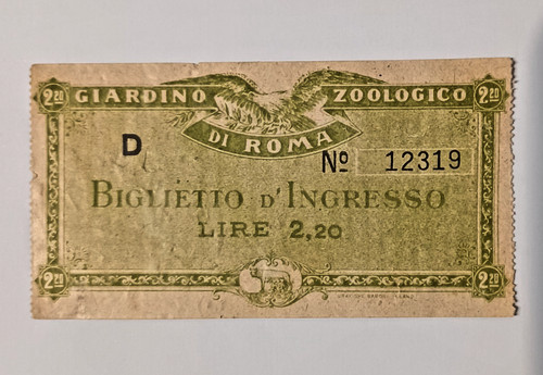 Bigletto ingresso - bigletto,