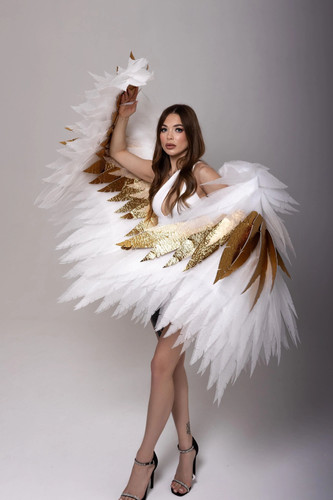 Costume cosplay carnevale ali