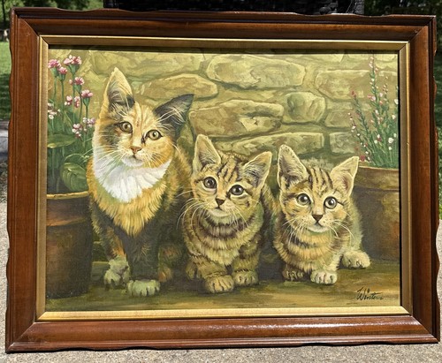 Vtg large big eye kitten - big,