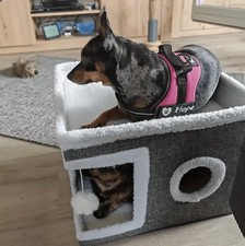 Cuccia da interno per cani