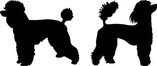 Adesivo stickers - n°2,