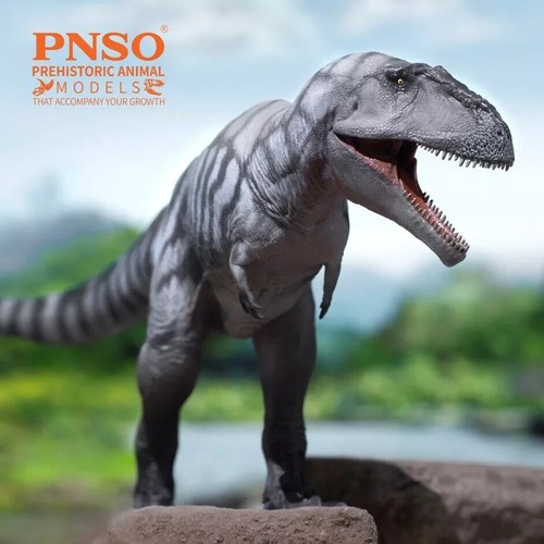 Pnso 2023 mungo - 2023, il