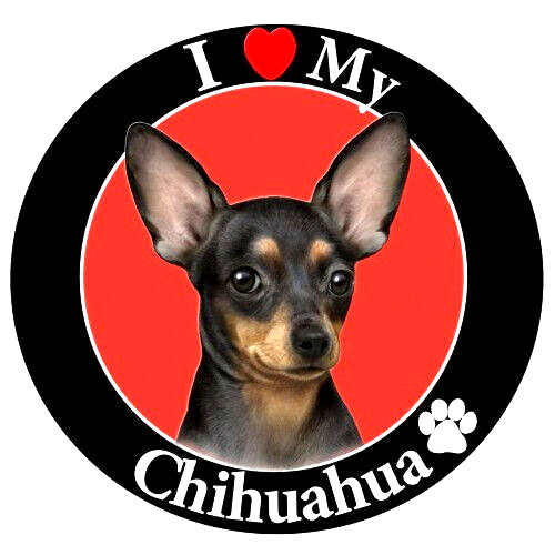 Ciondolo chihuahua - ciondolo,