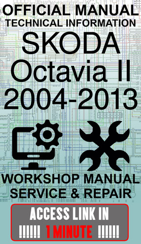Access link manuale - manuale, officina