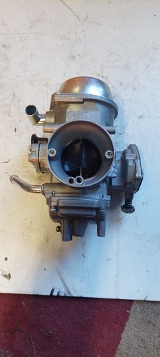 Quadzilla dinli 450