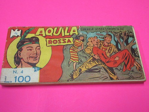 Aquila rossa tomasina - aquila,