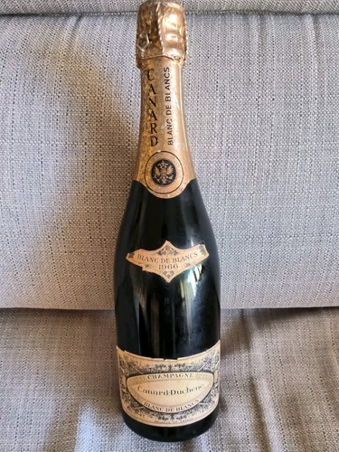 Vino collezione champagne - collezione,