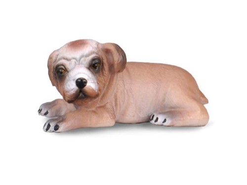 Cucciolo bulldog inglese - di,