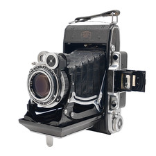 "Rare MINT Final Model V"