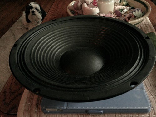 Subwoofer removed from - 12",