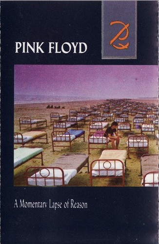 Pink floyd momentary - a, lapse