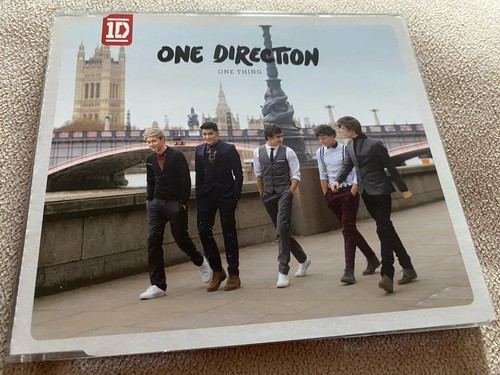 One direction thing - thing,
