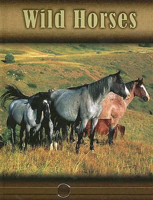 Wild horses eye - eye, with