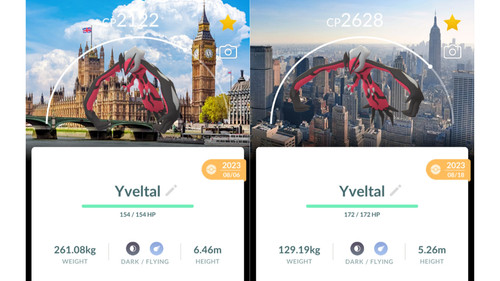 Non shiny yveltal - 🦅non,
