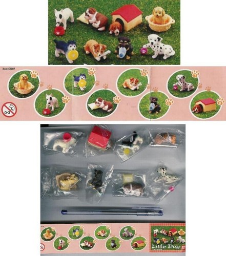 Piccoli cani razza - piccoli, dogs